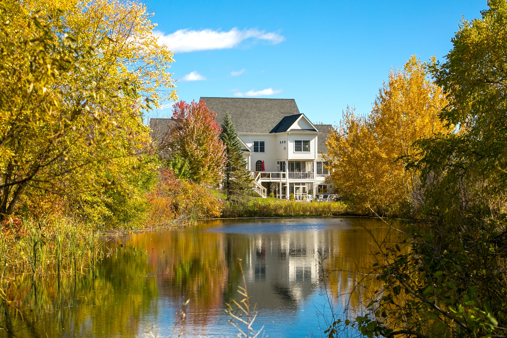 Lakefront homes