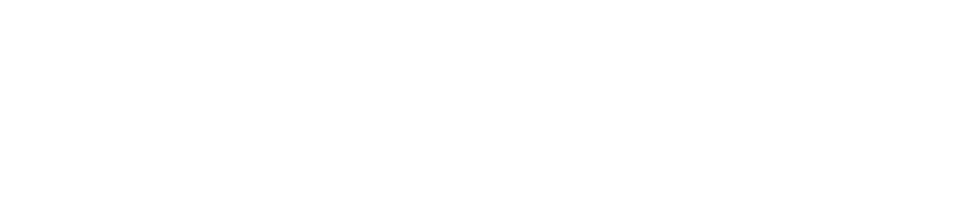 Platzke Real Estate Group Logo